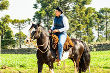 Brazil-Santa Catarina-Gaucho Pampas Trail Brazil